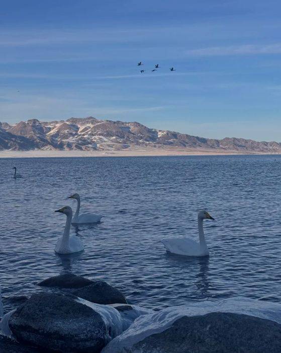 游领衔2025新疆高信誉旅行社TOP10新葡京博彩5000+游客亲测揭晓：远胜(图3)